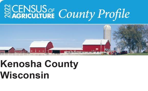 Consider County Census Collection Kenosha County