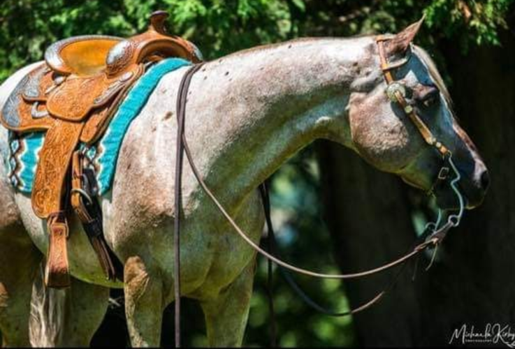 2 cindy hanson stud tell me i'm hot.png