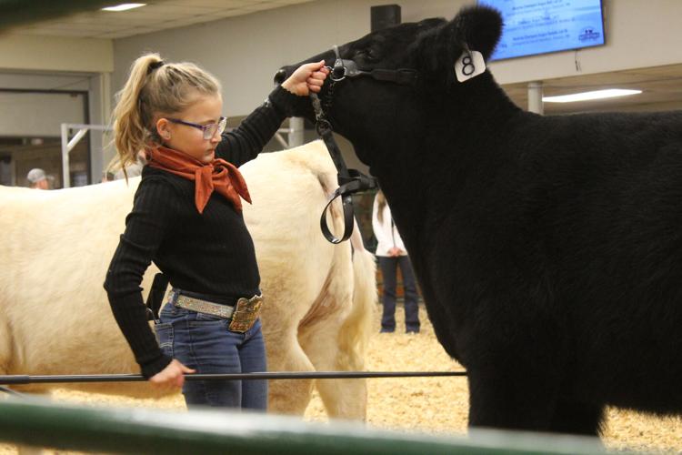 WWFS Supreme Row (56).JPG