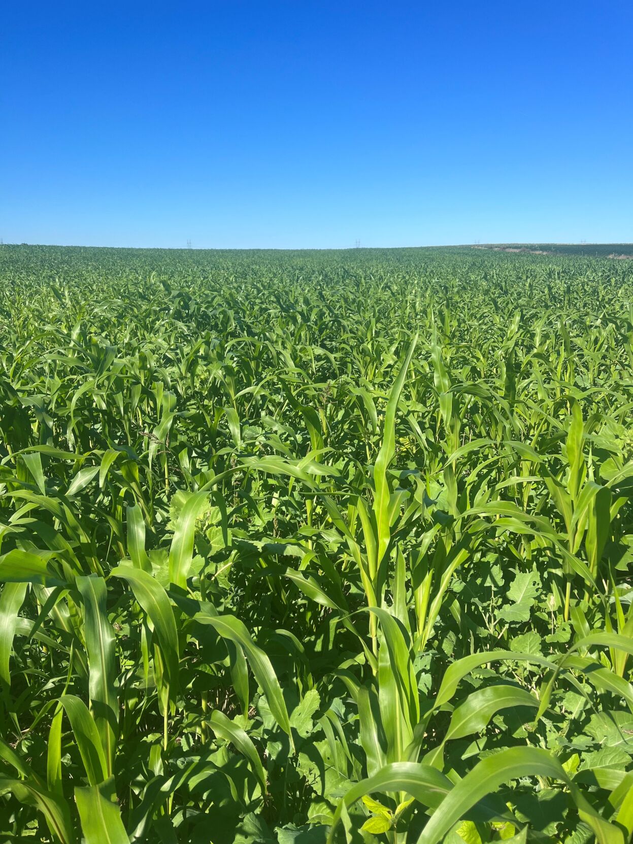 NE Ag Conference 3.jpg