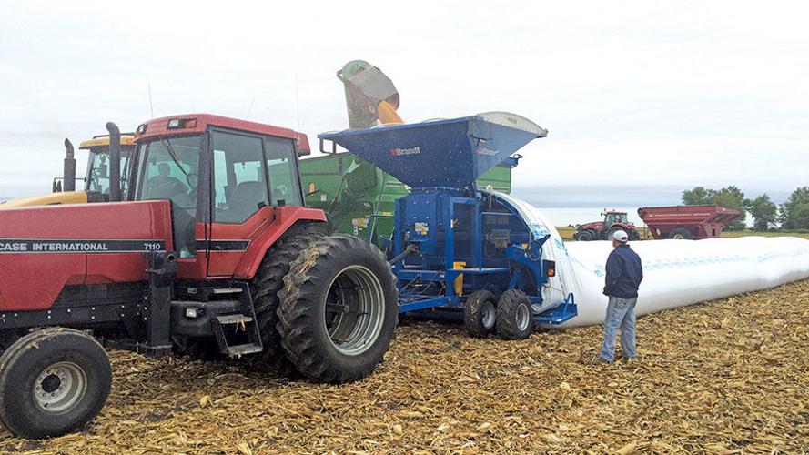Filling poly storage bags