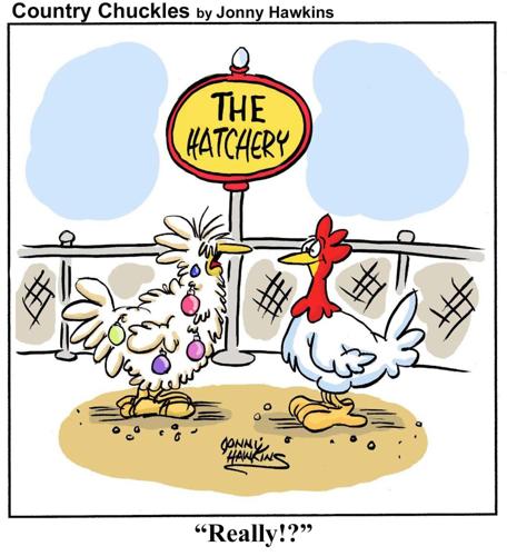 Country Chuckles by Jonny Hawkins