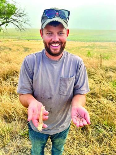 Shrimp farming (13) - worked.tif