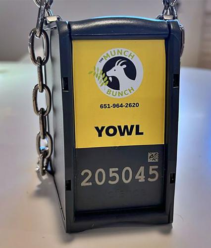 Goat collar