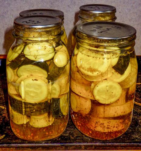 Jars