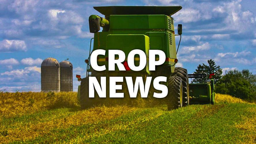 Crop News logo graphic version 1