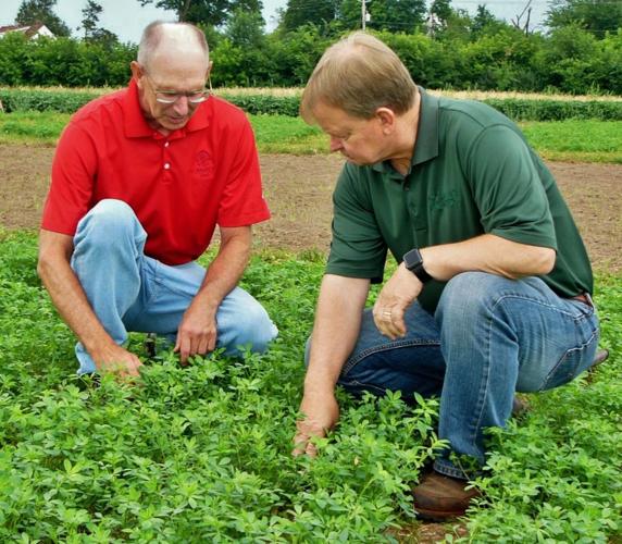 David Huset and Bruce Ceranske check alfalfa