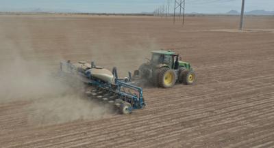 Kinze 3665