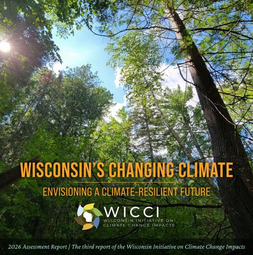 2026 Assessment Report