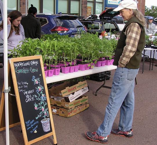 Plants for sale