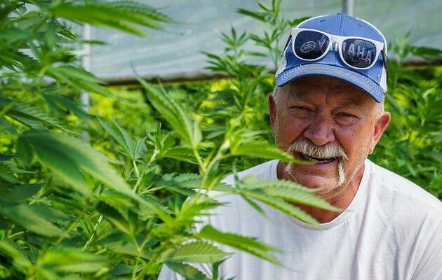 Jeff Garland checks on hemp