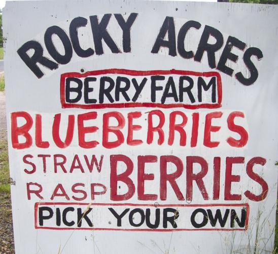 Pick berries