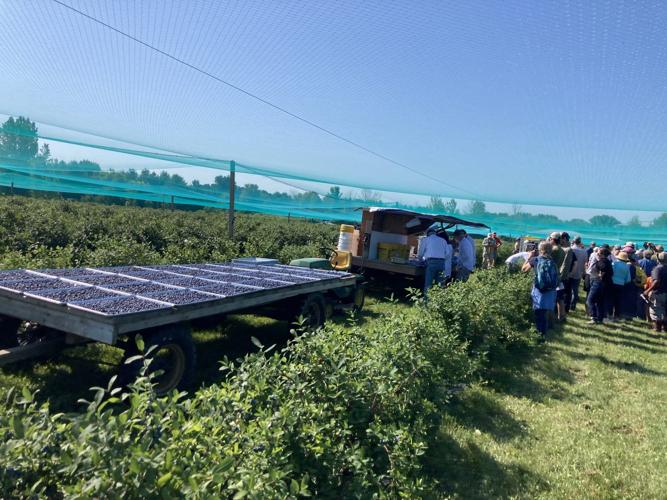 Harvest wagon and cleaning line