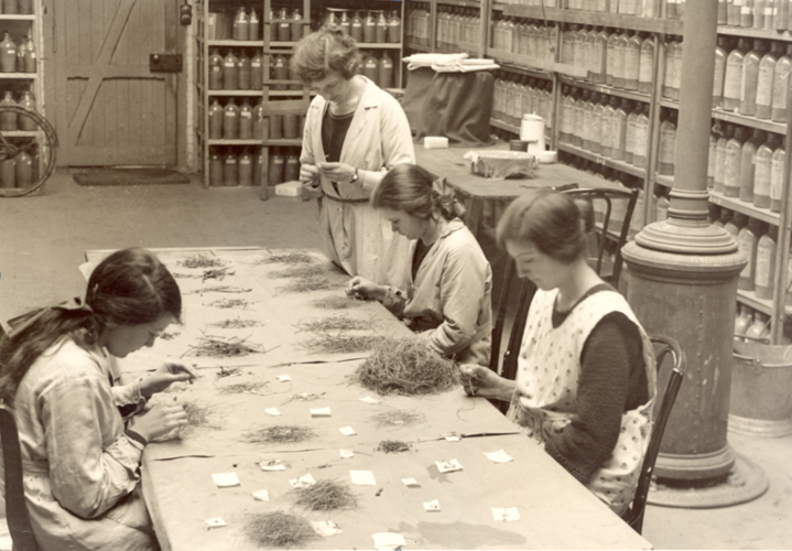 1930s Park Grass survey