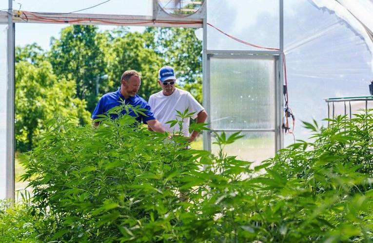 Tour of Papa G's Organic Hemp Farm