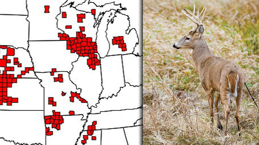 CWD spread could affect conservation | State & Regional | agupdate.com