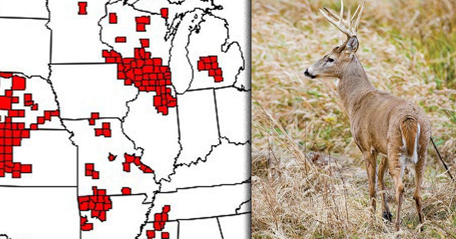 CWD spread could affect conservation