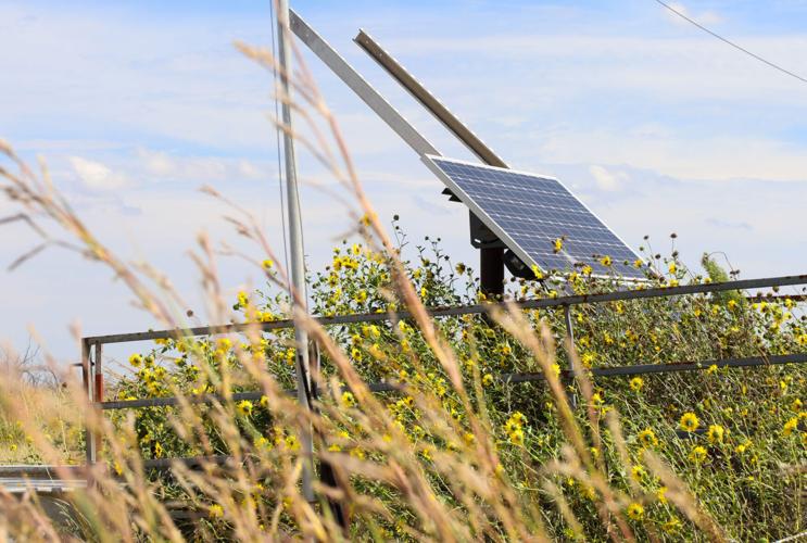 Red Hills rancher 3.jpg