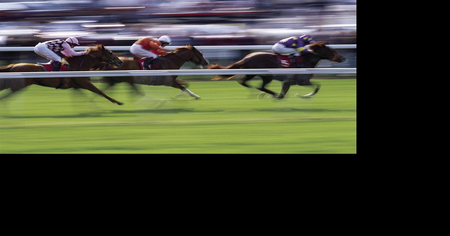 ‘Game changer’ Officials praise horse racing safety bill