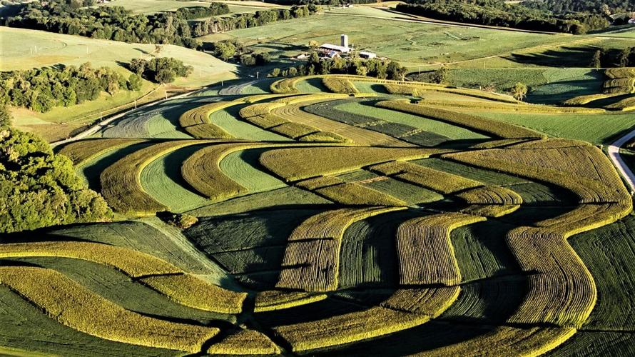Agricultural landscape