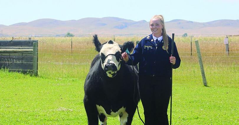 Dillon student using 4-H/FFA success to mentor others