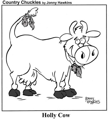 Country Chuckles by Jonny Hawkins