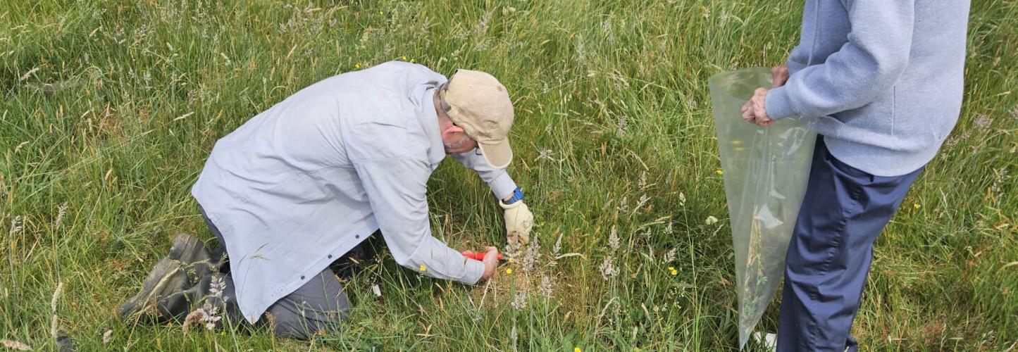 Park Grass samples