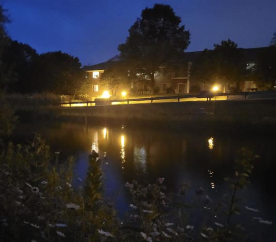 Pond at night