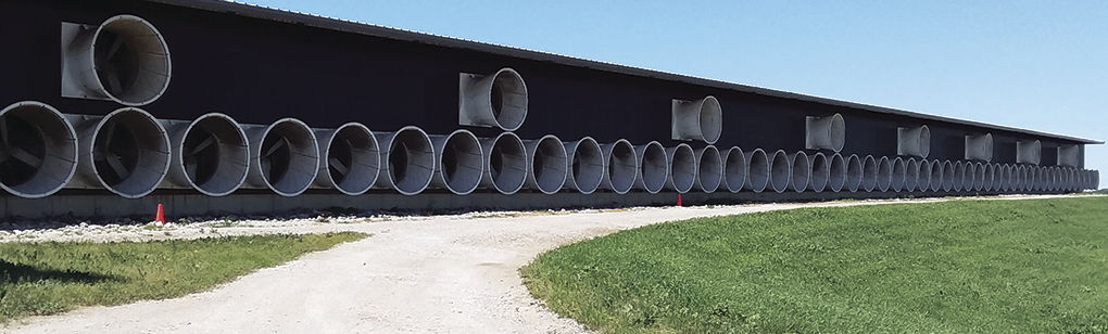 Dairy-barn fans