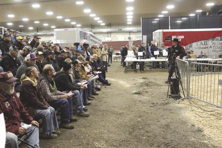 SELS 2024 (49) - worked.jpg