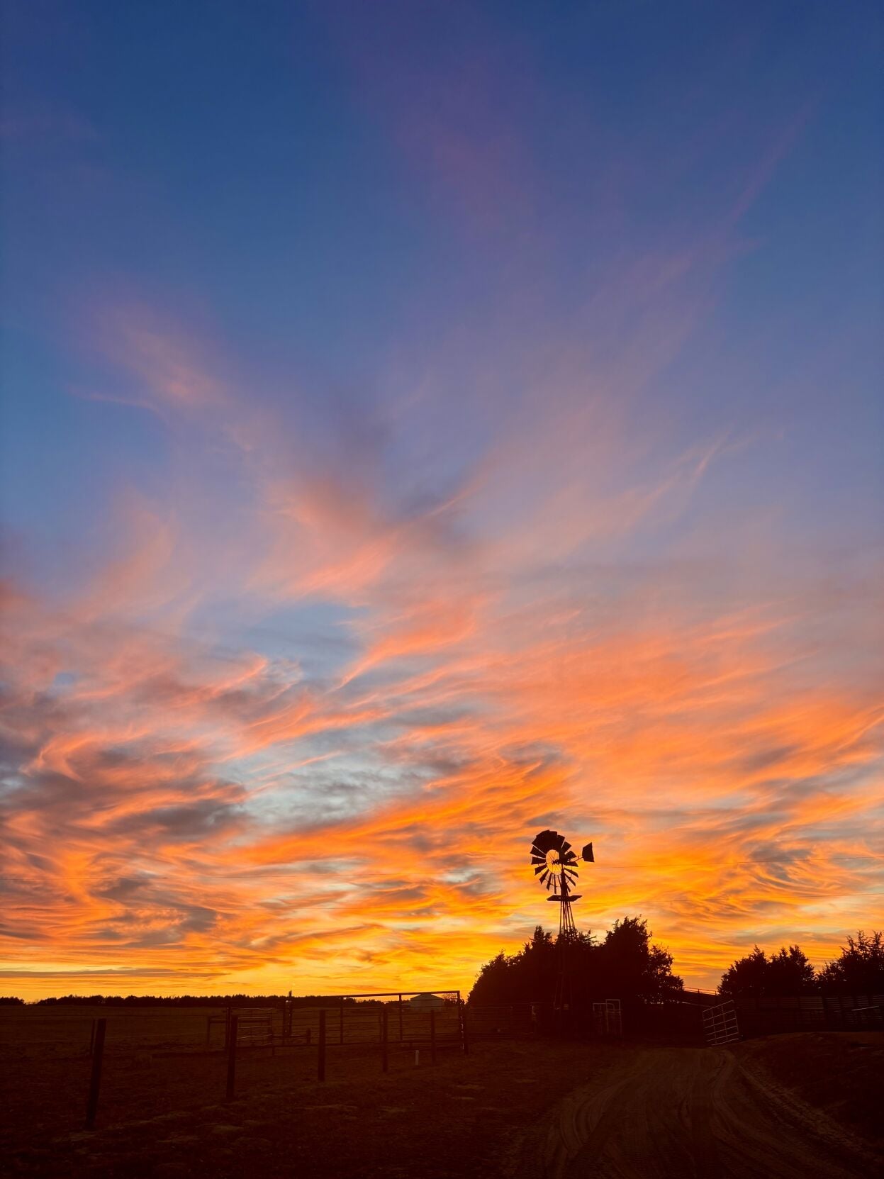Sandhills Sunrise 1.jpg
