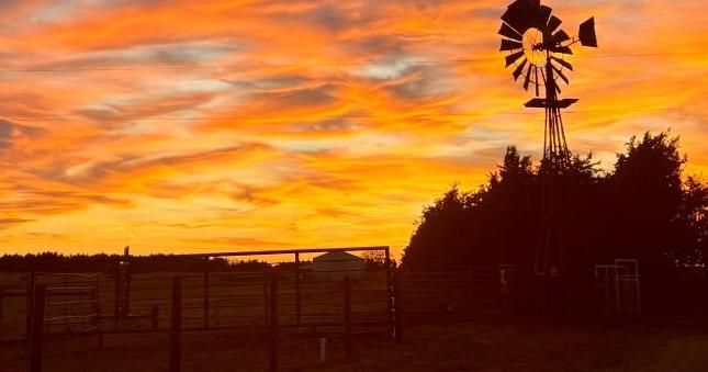 The sacrifice and perseverance of a ranch woman