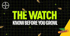 Corn Rootworm Pressure Starts Before Planting: Why Early Monitoring Matters in High-Risk Areas