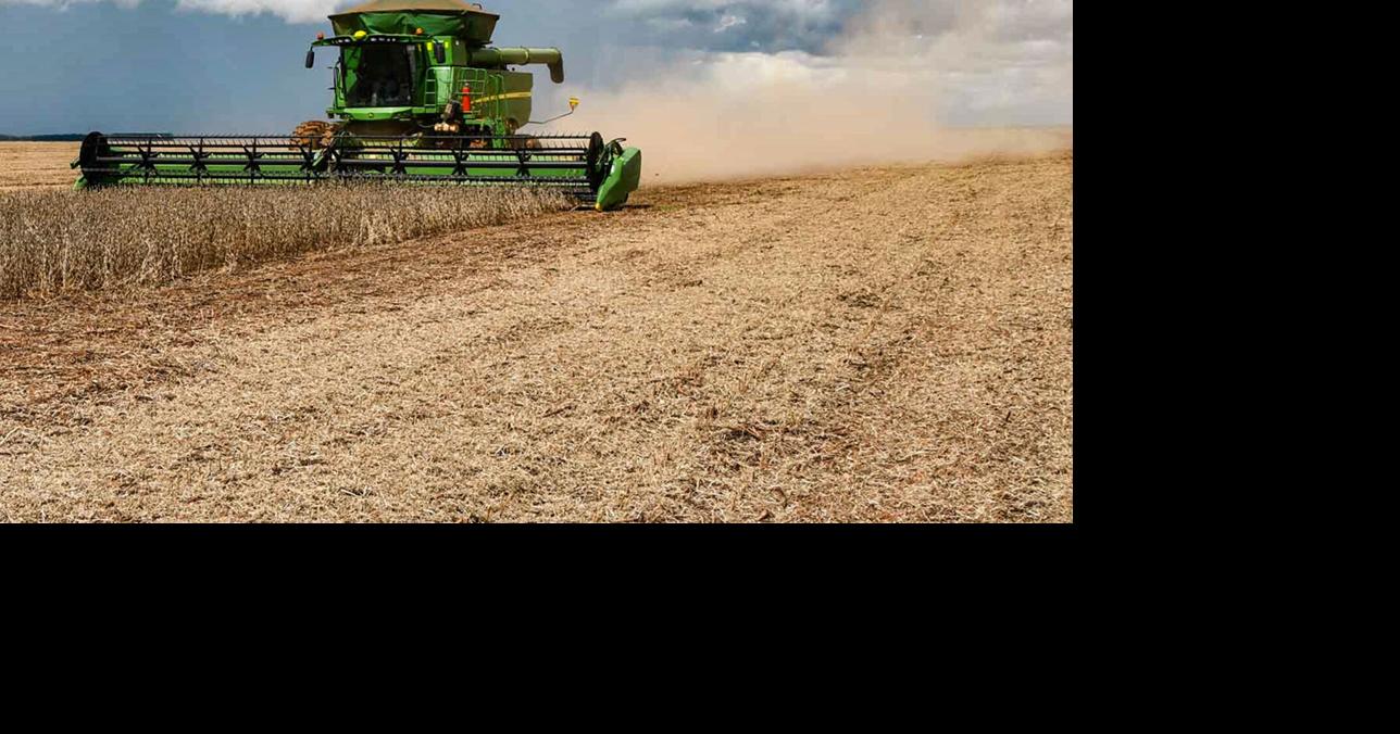 Take look at Brazil's soybeans