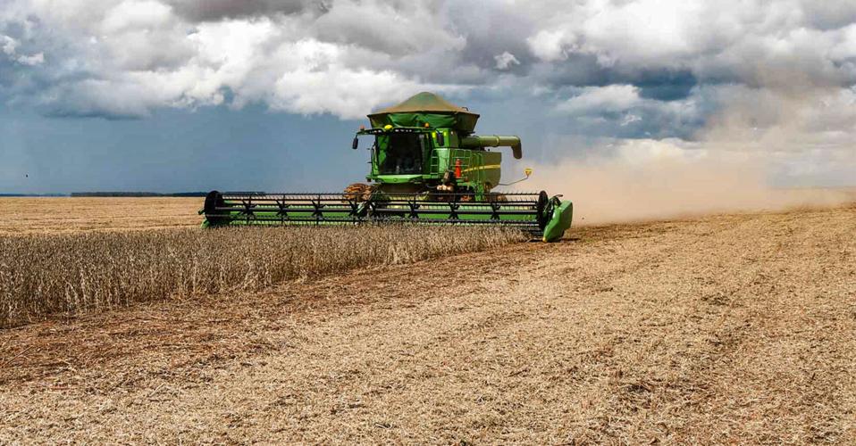 Soybeans harvested