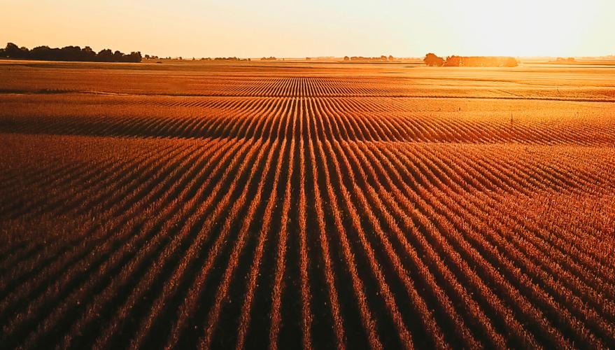 Absent Landlords in Agriculture – A Statistical Analysis