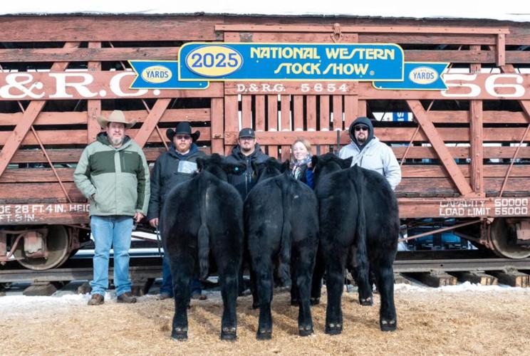 PPR Gittlein (3).jpeg