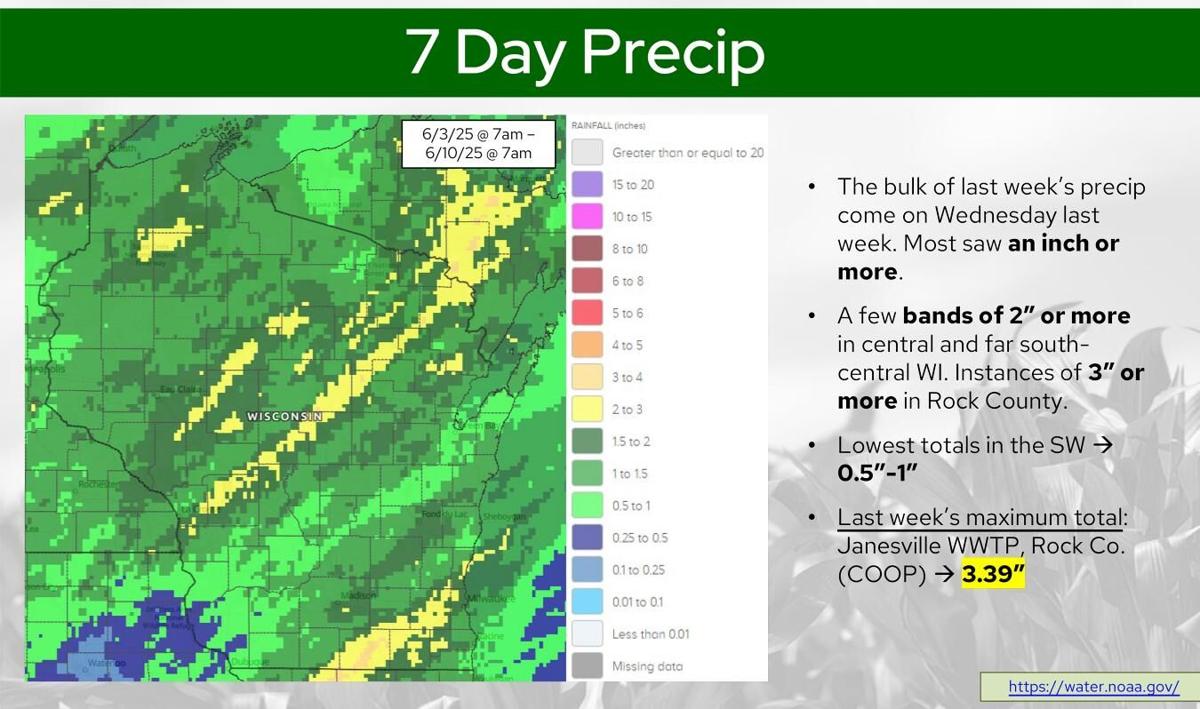 7 day precip