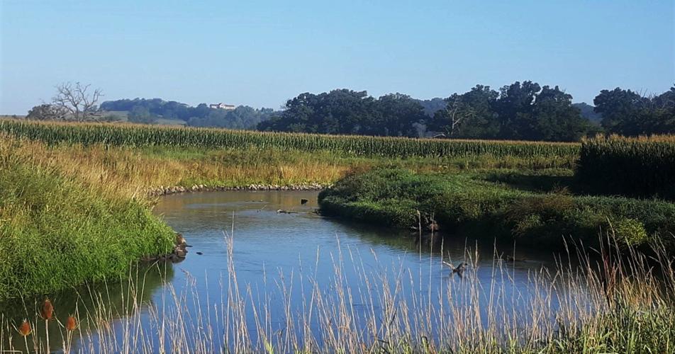 Pecatonica River and Mike Berg's streambank restoration