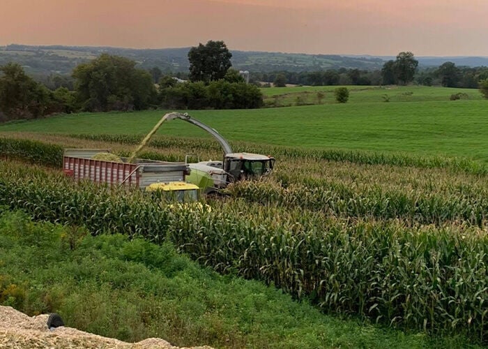 Dygert farm