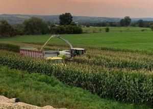 Dygert farm