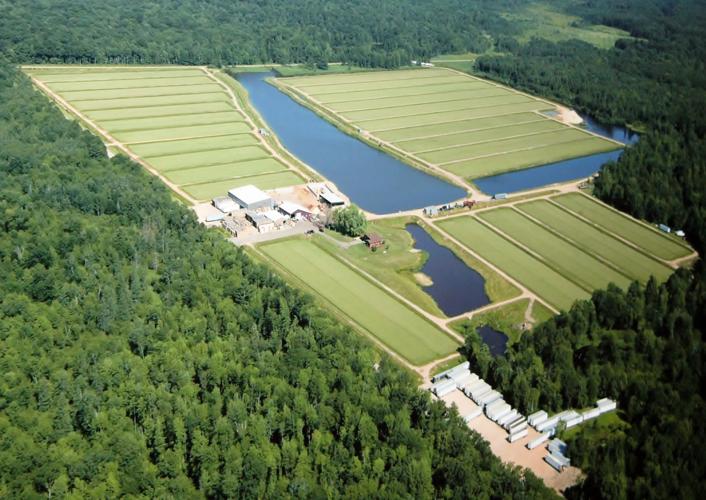 Hay Creek Cranberry marsh aerial photo