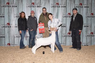 Grand champion goat