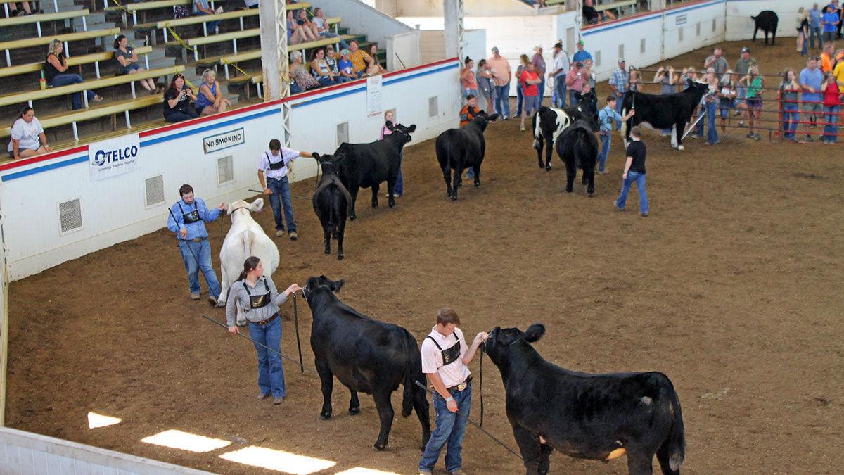 Exhibitors take advantage of opportunity to show at the fair