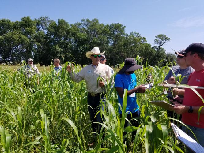 Soil Health School 1.jpg