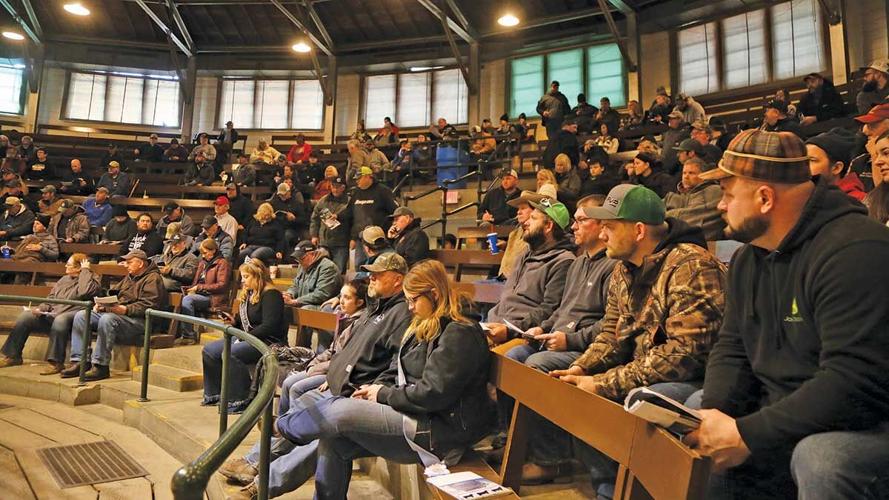 Simmental sale Feb. 14 at the Iowa Beef Expo crowd