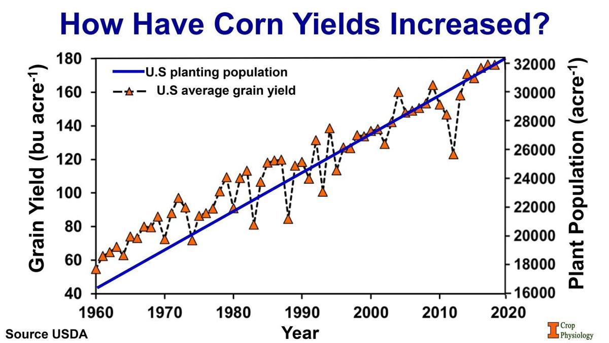 Corn-yield increase