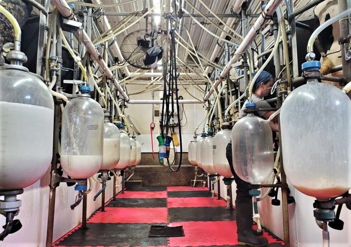 Milking parlor at Farm in the Dells