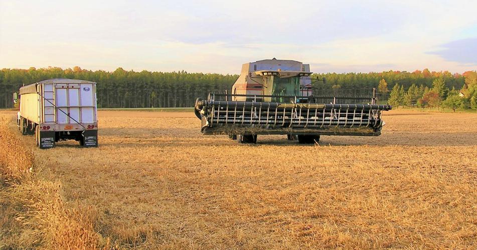 Combine in field