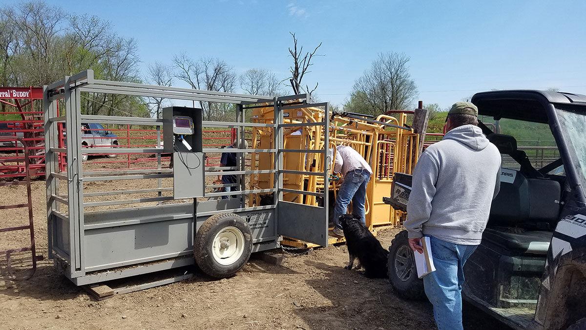 MU Extension livestock specialist Jim Humphrey